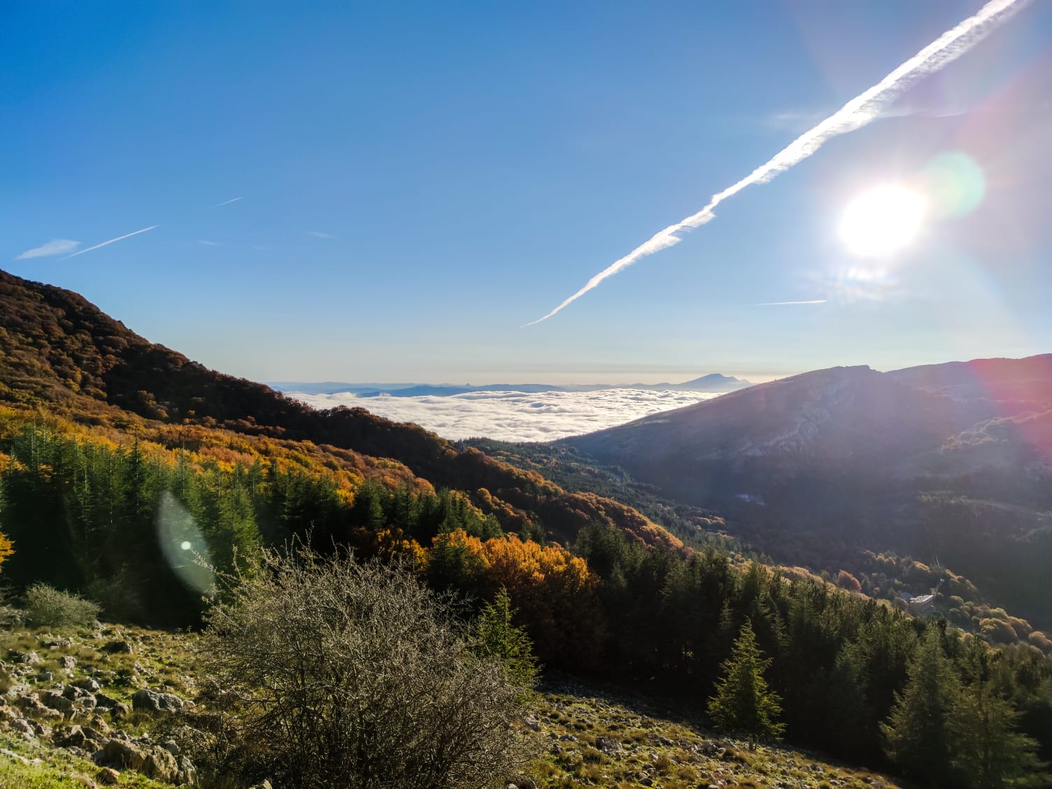 Isnello, una voliera per reintrodurre il Grifone nelle Madonie