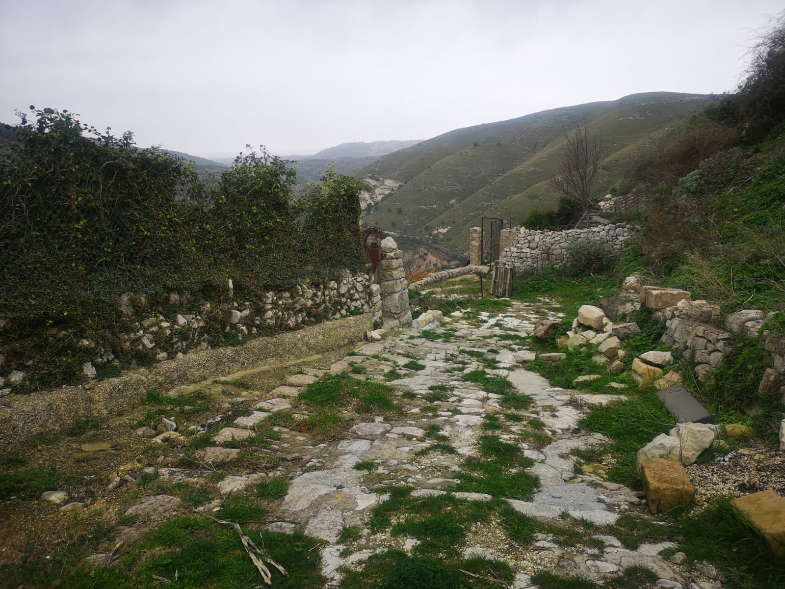11 gennaio 1693, la Sicilia rasa al suolo dal Grande Terremoto
