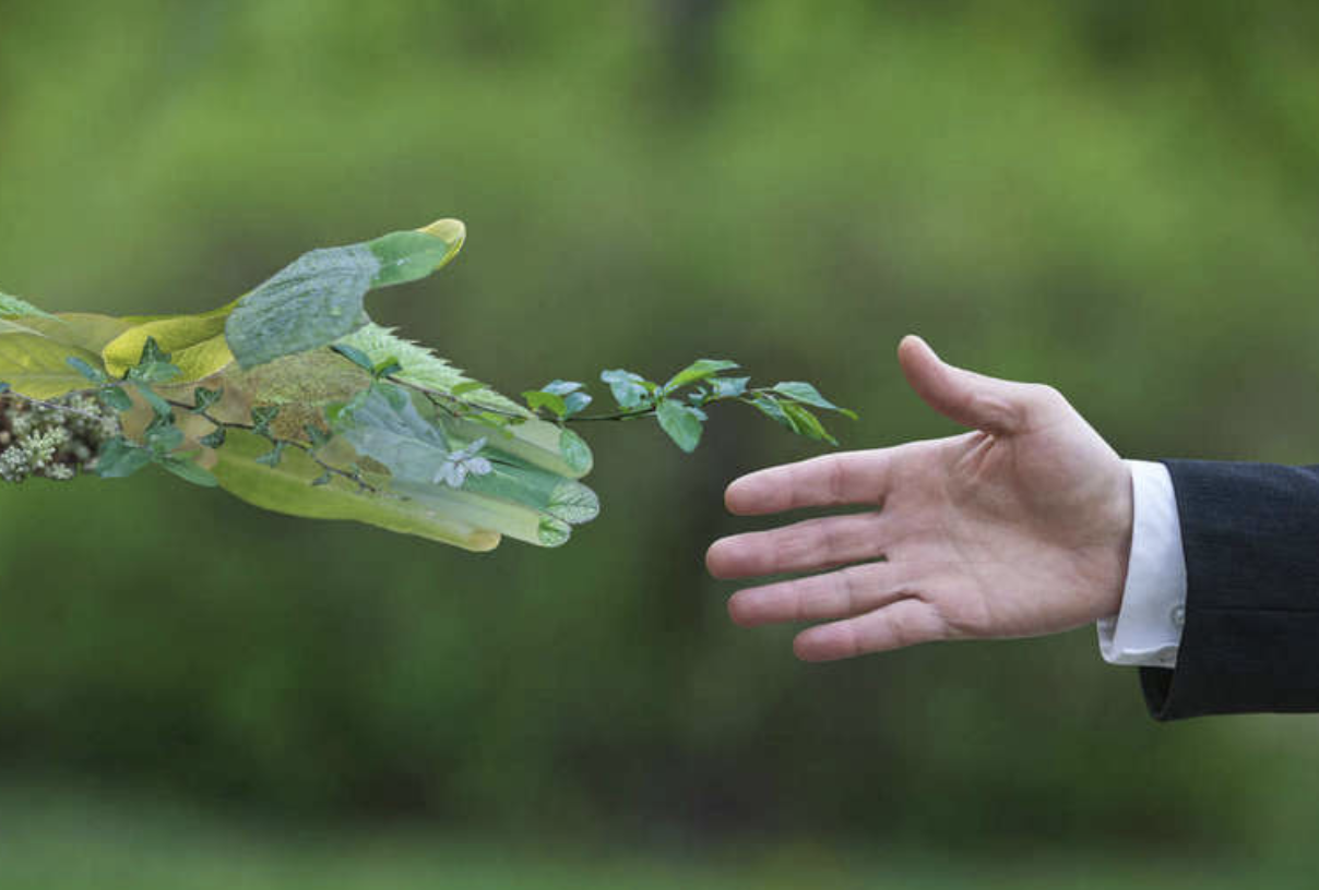 La 27a Pagina della Bellezza dedicata alla sostenibilità