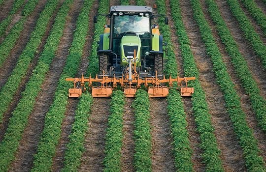 Bando Isi agricoltura, sino a 60.000 per chi vuole innovare