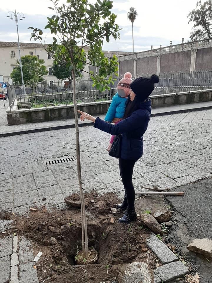 Catania, genitori regalano un albero alla figlia e alla città