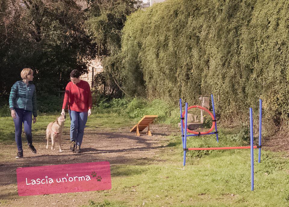 Covid, stop ai circhi, e se lo show si concludesse davvero?