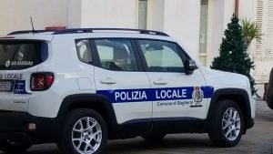 Ovile abusivo a Messina, pecore uccise da cani randagi