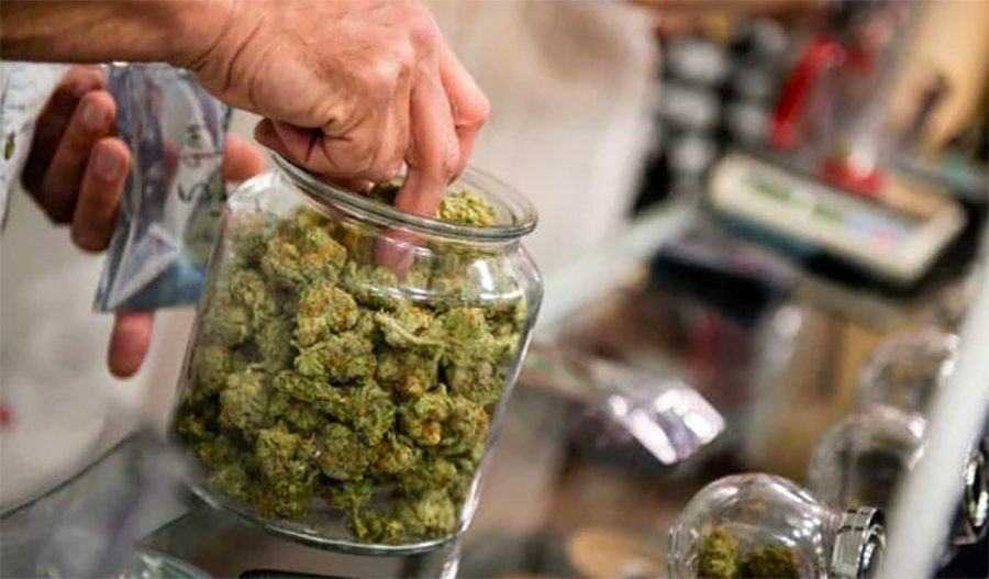 Cannabis light, il governo vieta la vendita ai minori