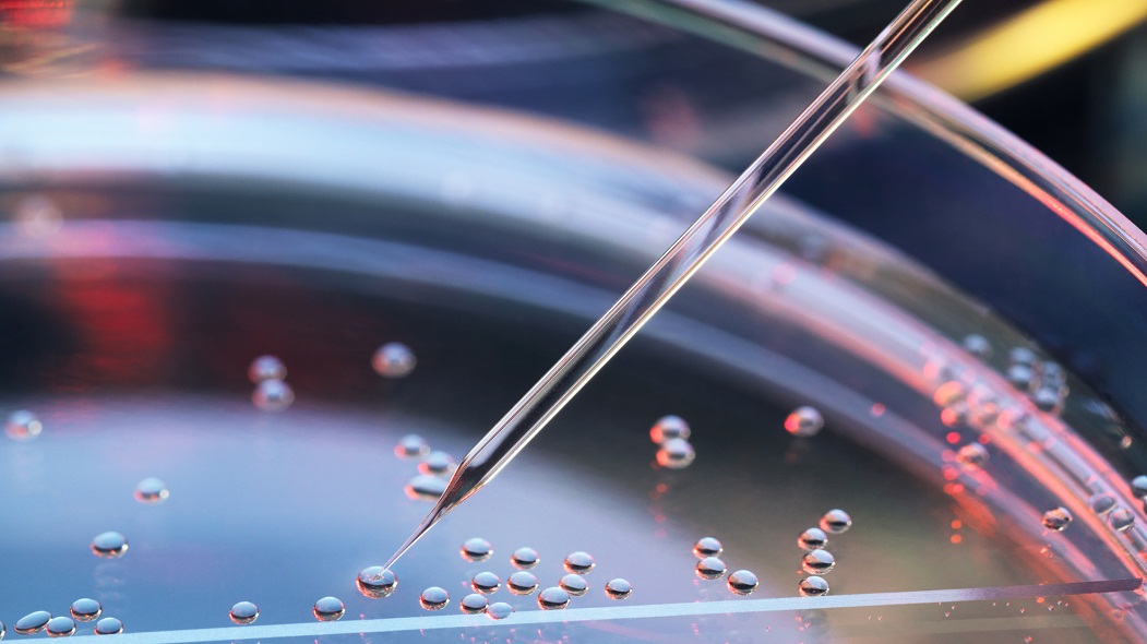 Covid, utilizzo di cellule staminali per inibire l’infiammazione