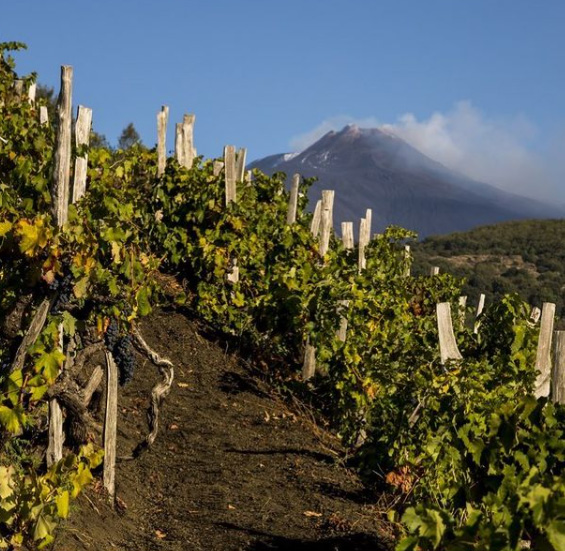 Etna Doc, Lunetta, Iscrizioni nuovi vigneti bloccate per tre anni