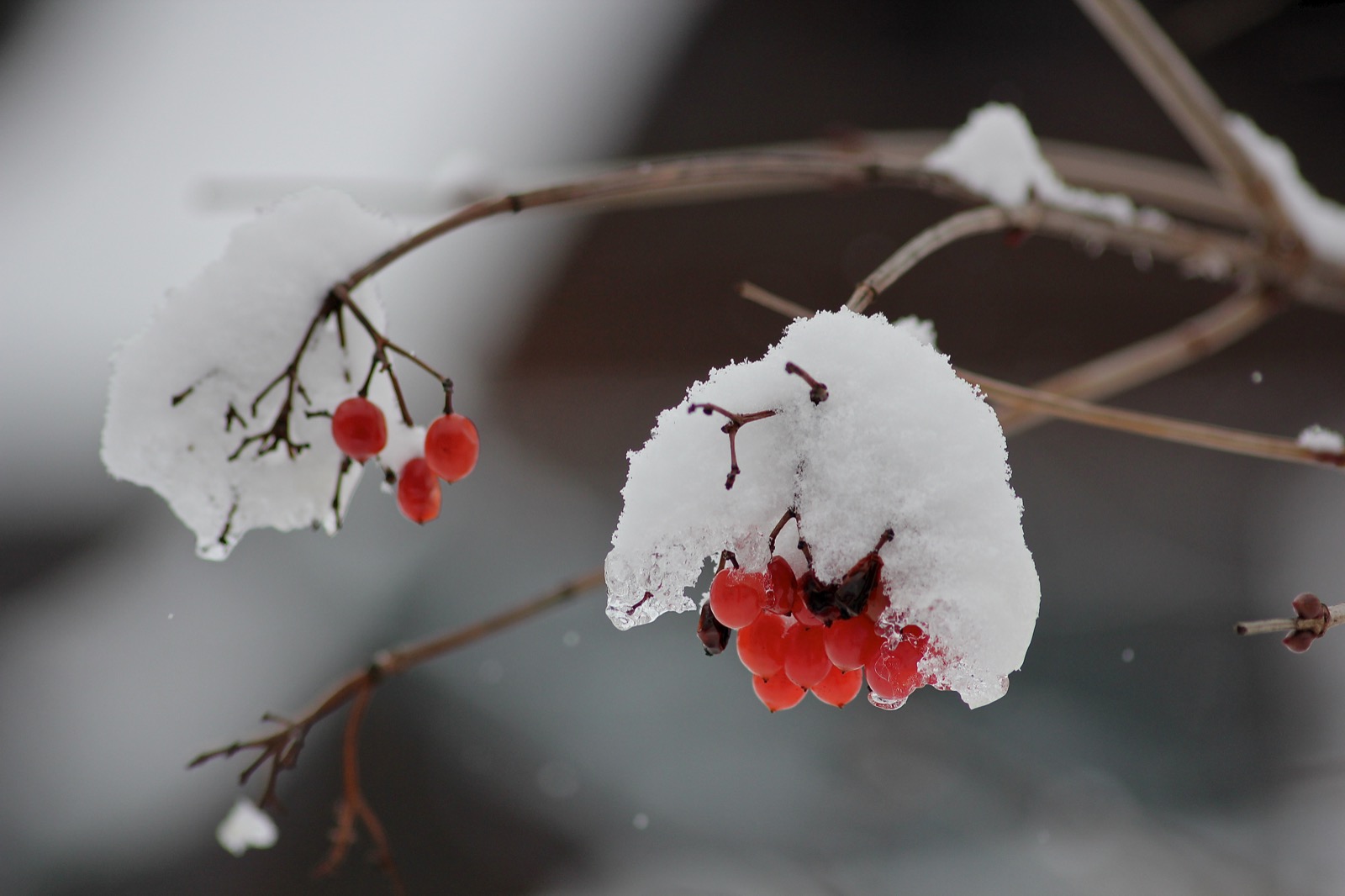 Sicilia, da oggi arriva anche un’ondata di gelo dalla Russia