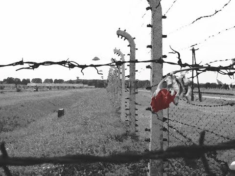 Giorno della Memoria, per non dimenticare la “banalità del male” Giorno della Memoria, per non dimenticare la “banalità del male”