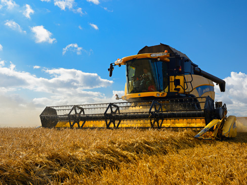 Pegno rotativo, finanziamenti più agevoli per le imprese agricole
