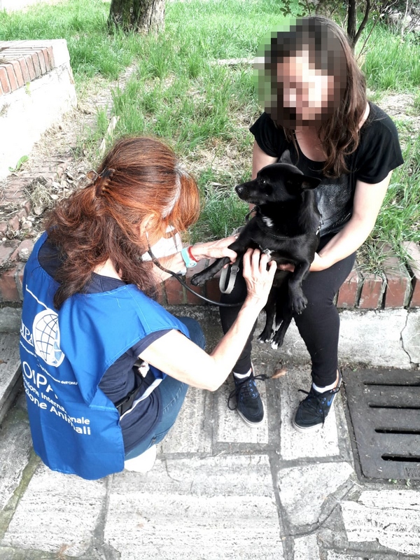 Oipa, “Aprite i centri d’accoglienza anche ai clochard con cani”