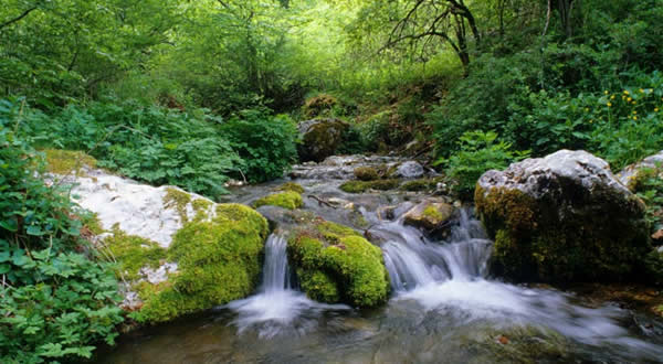 Un viaggio virtuale nel Belpaese con la Compagnia dei Cammini