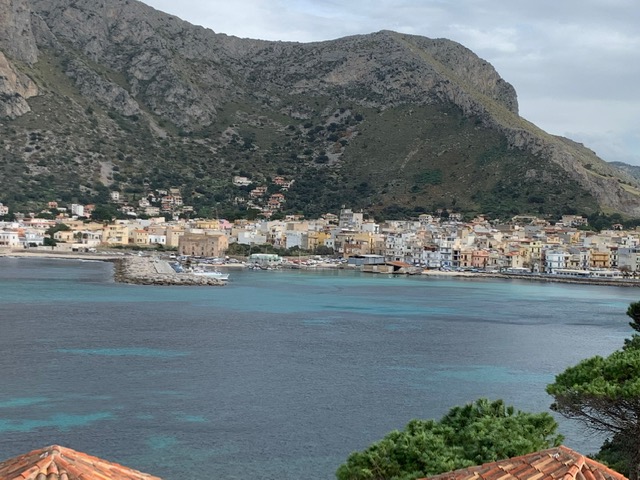 Torna l’alga tossica nel litorale Palermitano, è allarme