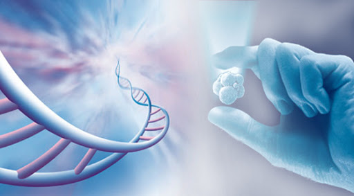 Benessere e Lavoro, tra Bioetica e Psicologia