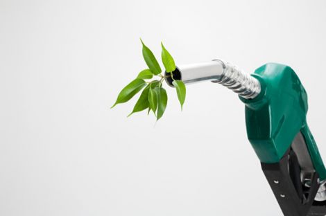 Il futuro dell’agricoltura siciliana è il carburante pulito