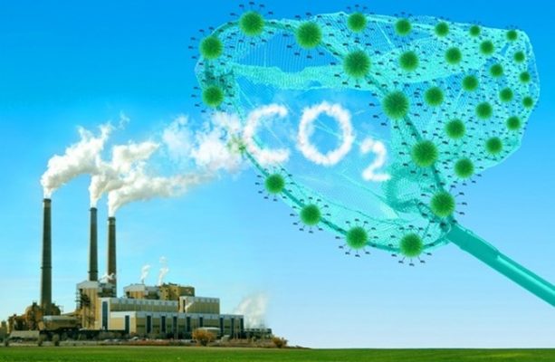 La CO2 una risorsa da recuperare come i rifiuti