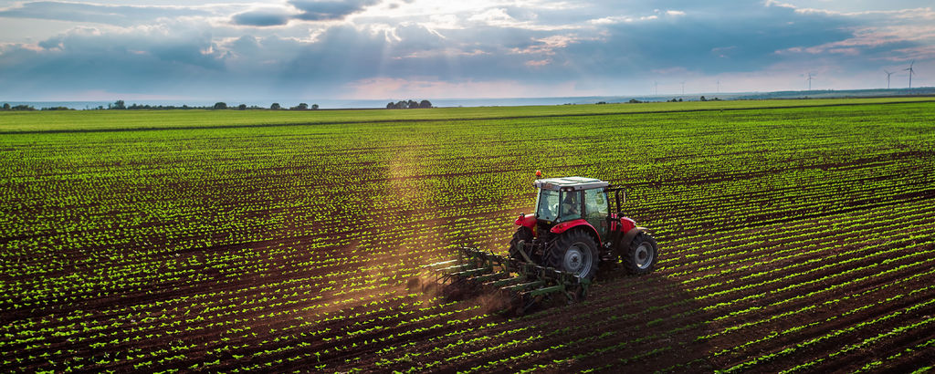Messina, sostegno al comparto agricolo per il post pandemia