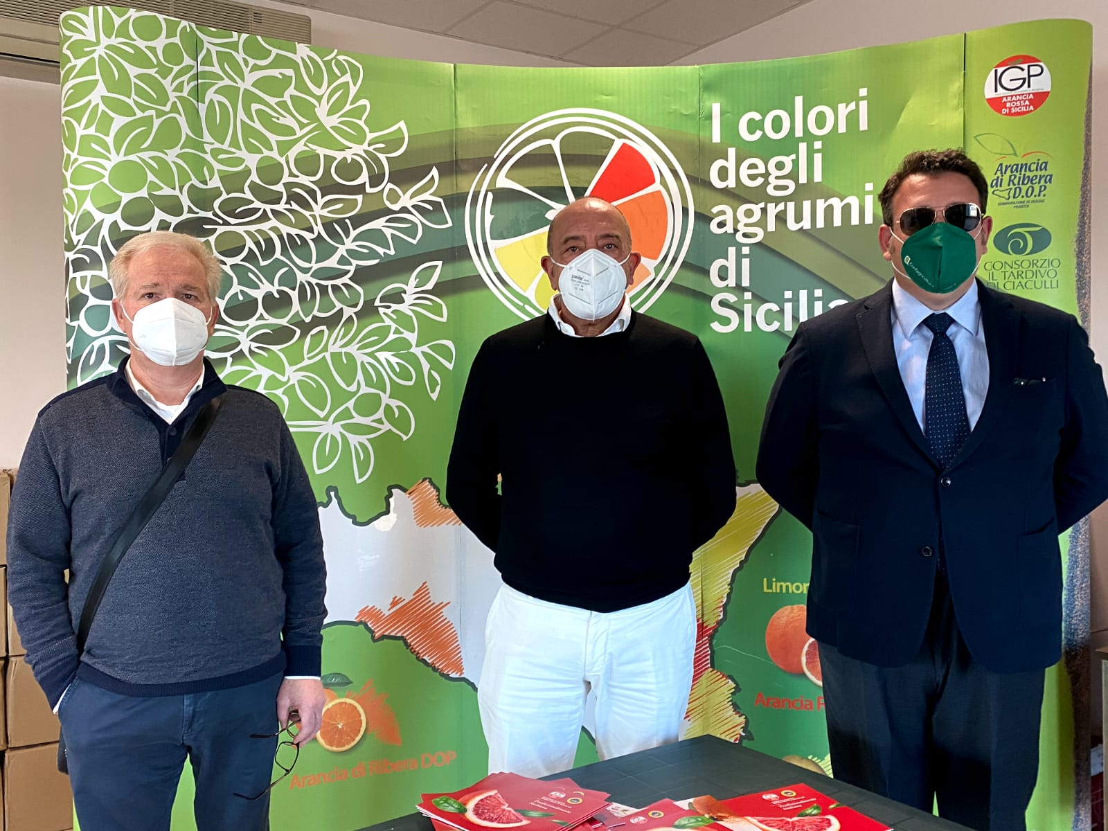 Crisi agrumicola, dalla Sicilia un grido di allarme Crisi agrumicola, dalla Sicilia un grido di allarme