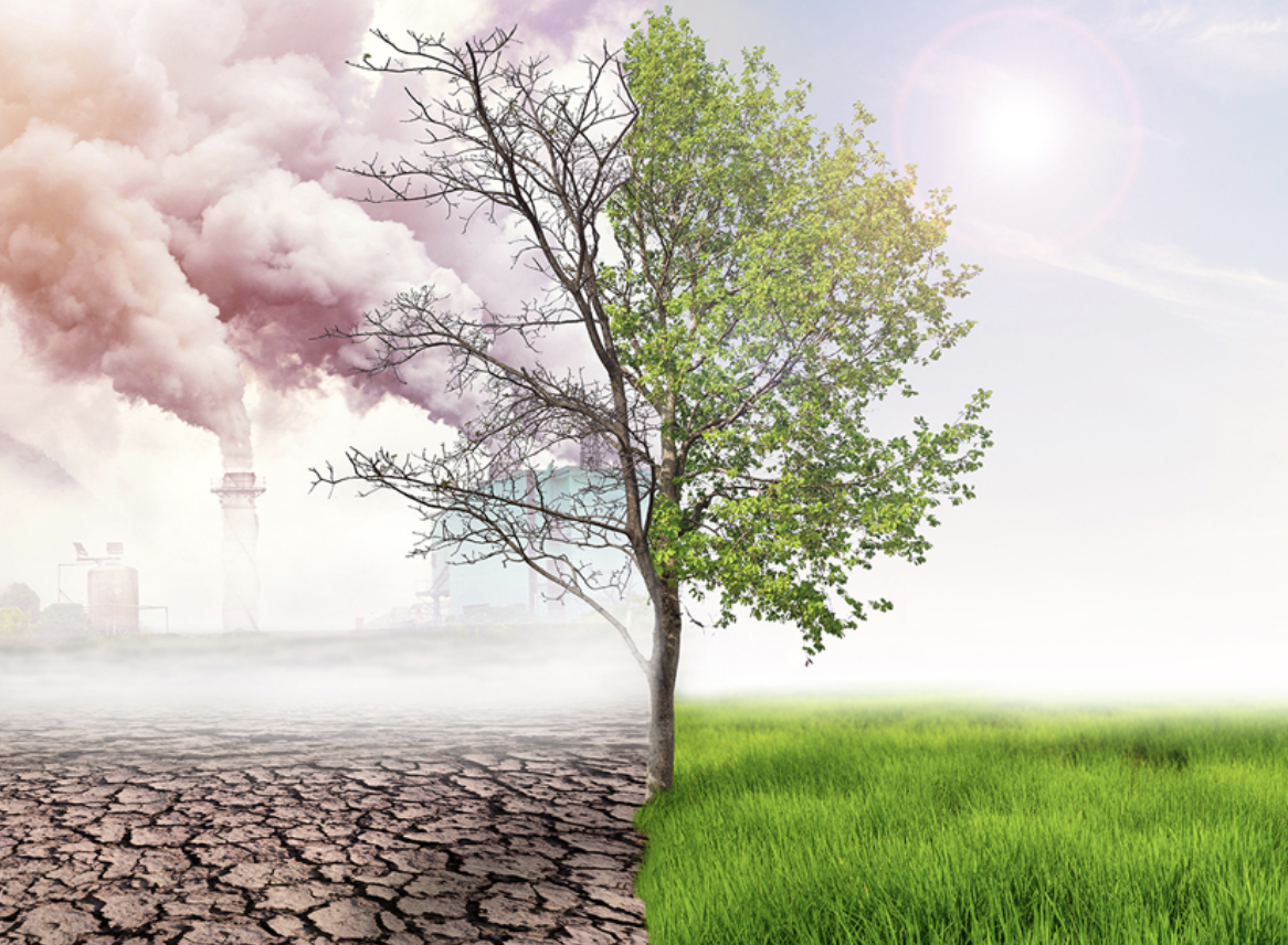 Transizione ecologica è una questione seria