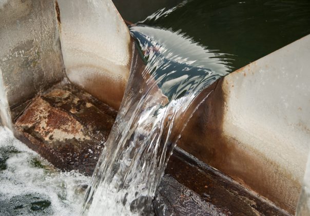 Istituto superiore di sanità individua Covid in acque di scarico