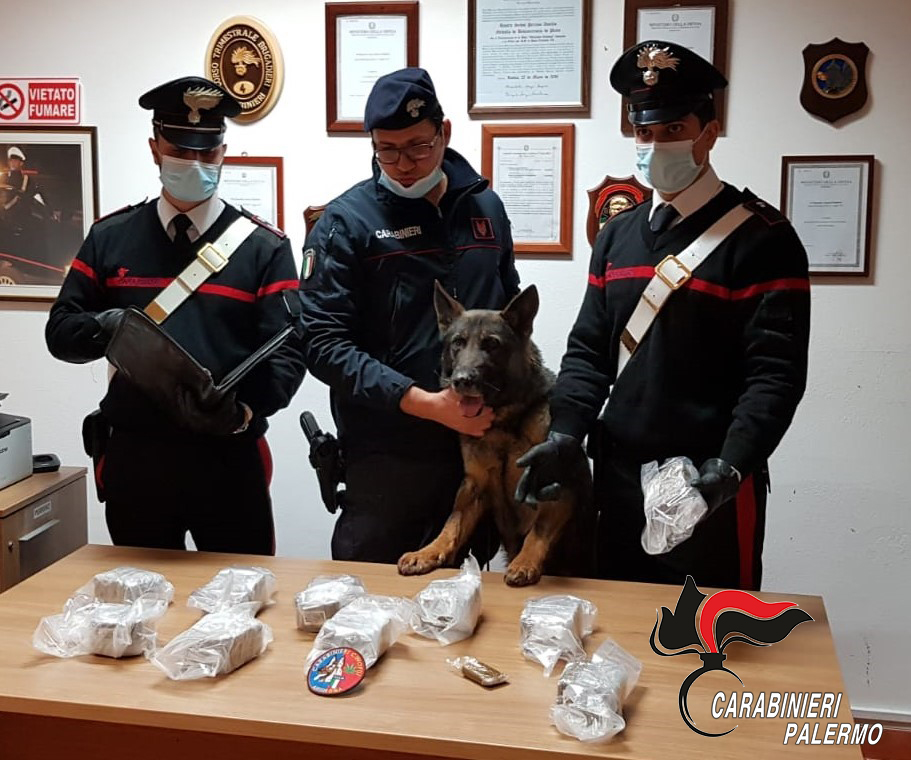 Sedicenne arrestato a Palermo, aveva 5 chili di droga Sedicenne arrestato a Palermo, aveva 5 chili di droga