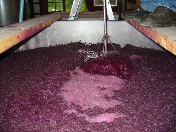 Vino, i tempi di fermentazione in deroga per il 2021