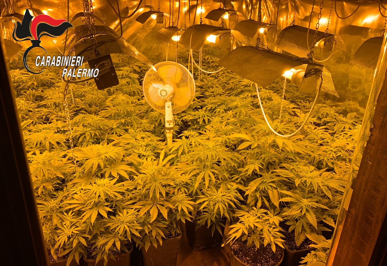 Galleria foto 'Palermo, “droghe pesanti”, nove arresti tra giovanissimi' - foto 1