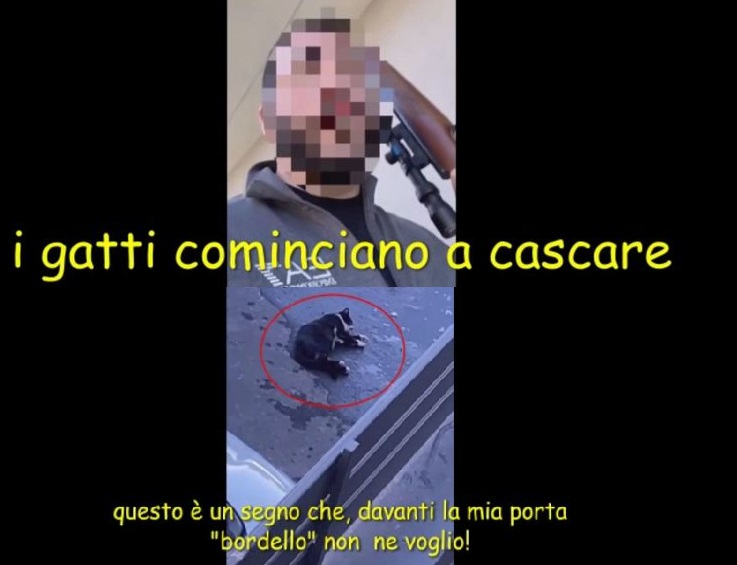 Mafia, uccide a fucilate il gatto che lo sveglia e filma tutto