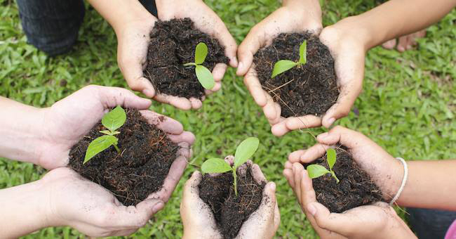 Giornata della Terra: oltre 6 italiani su 10 curano l’orto