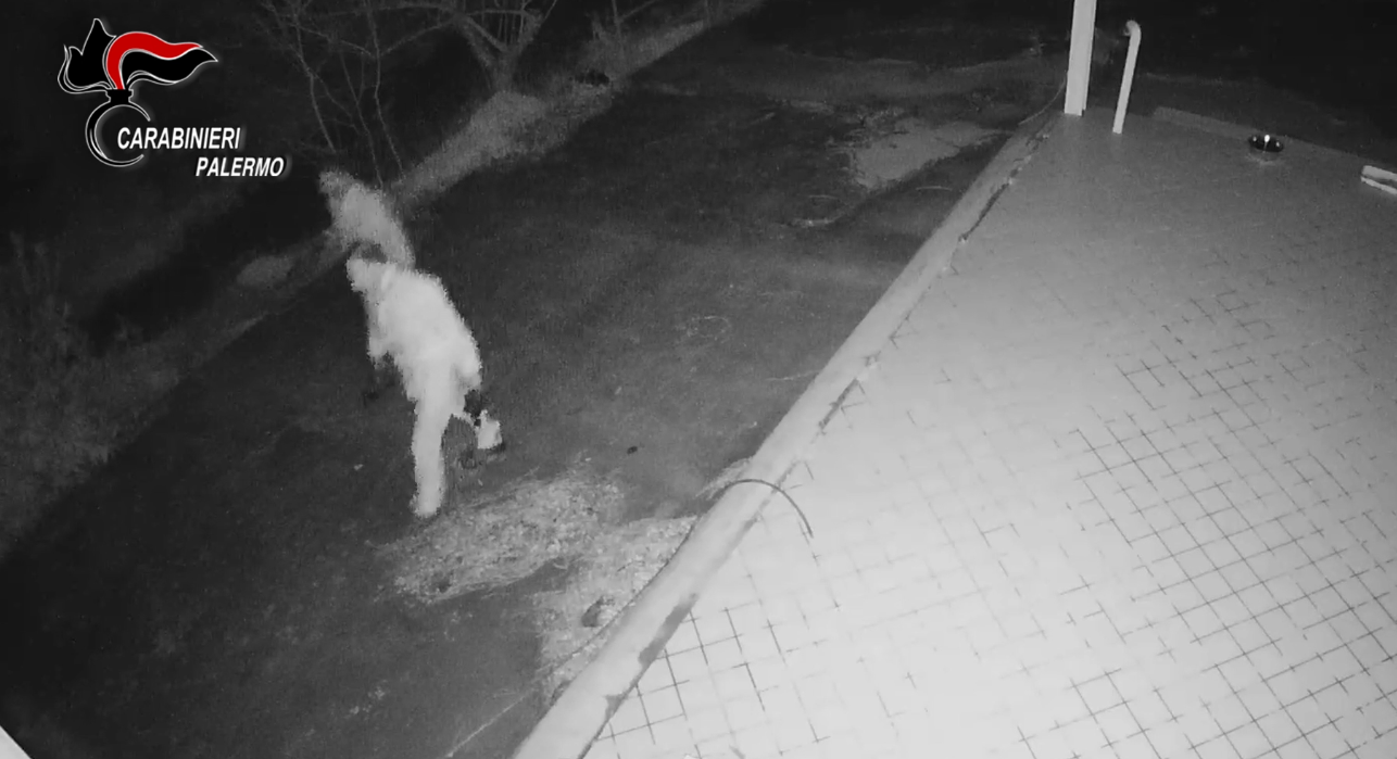 Cinque arresti per furto tra Palermo e Cefalà Diana Cinque arresti per furto tra Palermo e Cefalà Diana