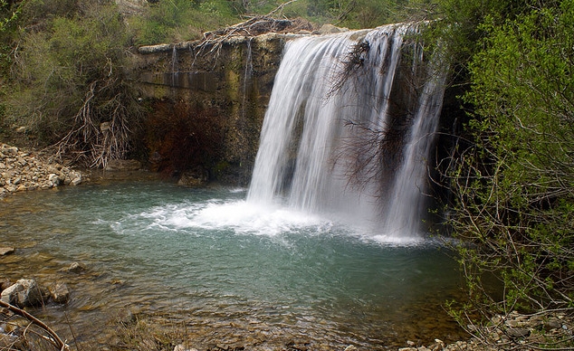Ambiente, l’assessore Pagana presenta il calendario 2024 del Parco dei Nebrodi