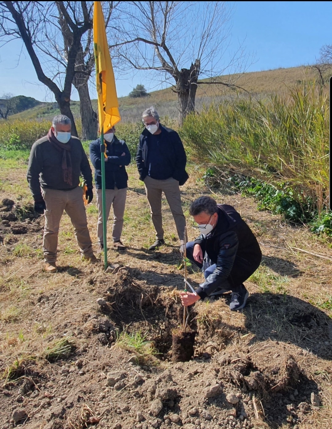 Enna, trecento alberi contro le emissioni climalteranti