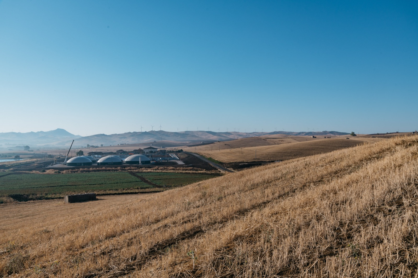 Trasporti green, agricoltura protagonista