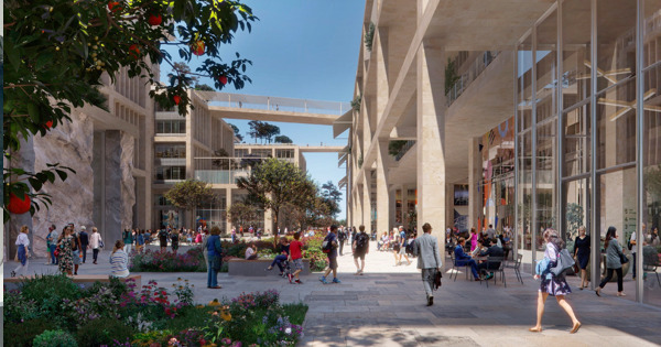 Centro direzionale Regione, mugugni in Consiglio comunale