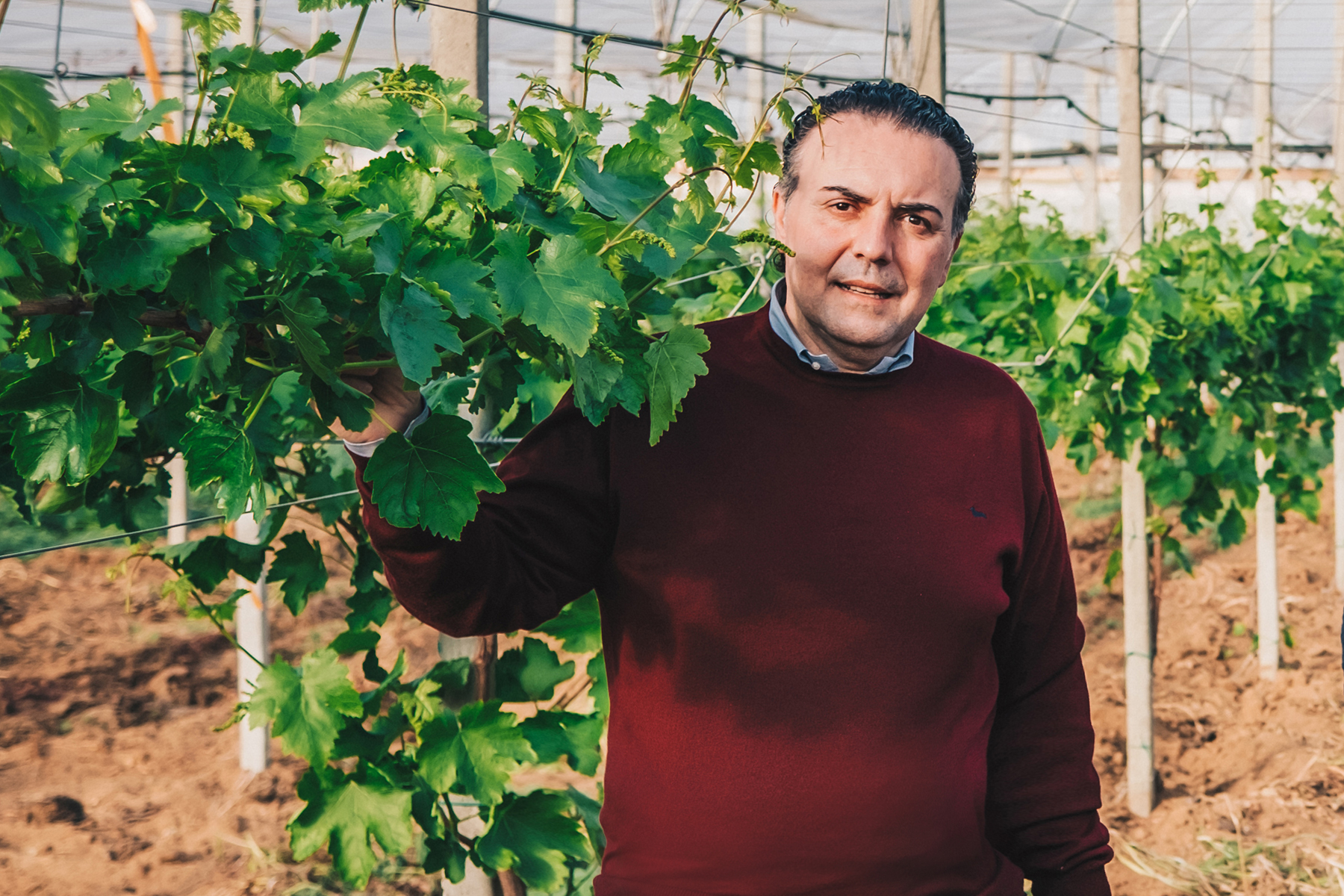 Agroalimentare, la crisi si supera facendo rete