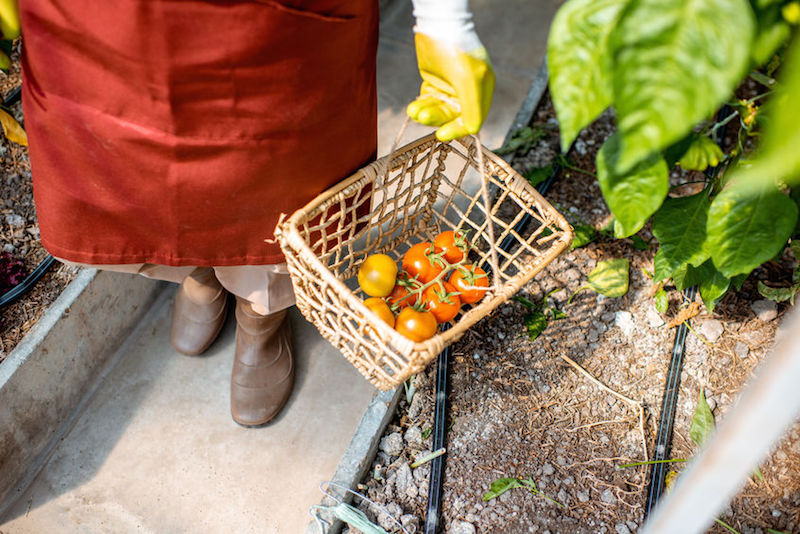 Agroalimentare, “imprese abbandonate a se stesse”