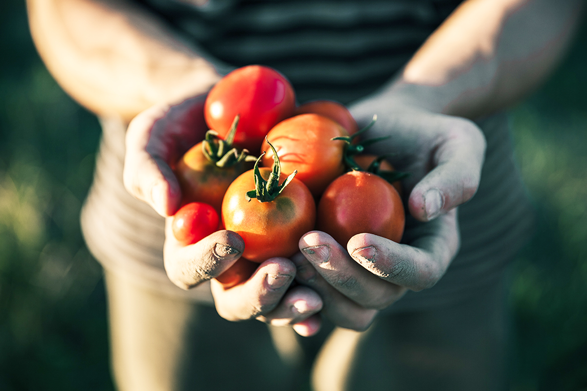 Agroalimentare, stop alle “pratiche sleali”, quali sono e come segnalarle