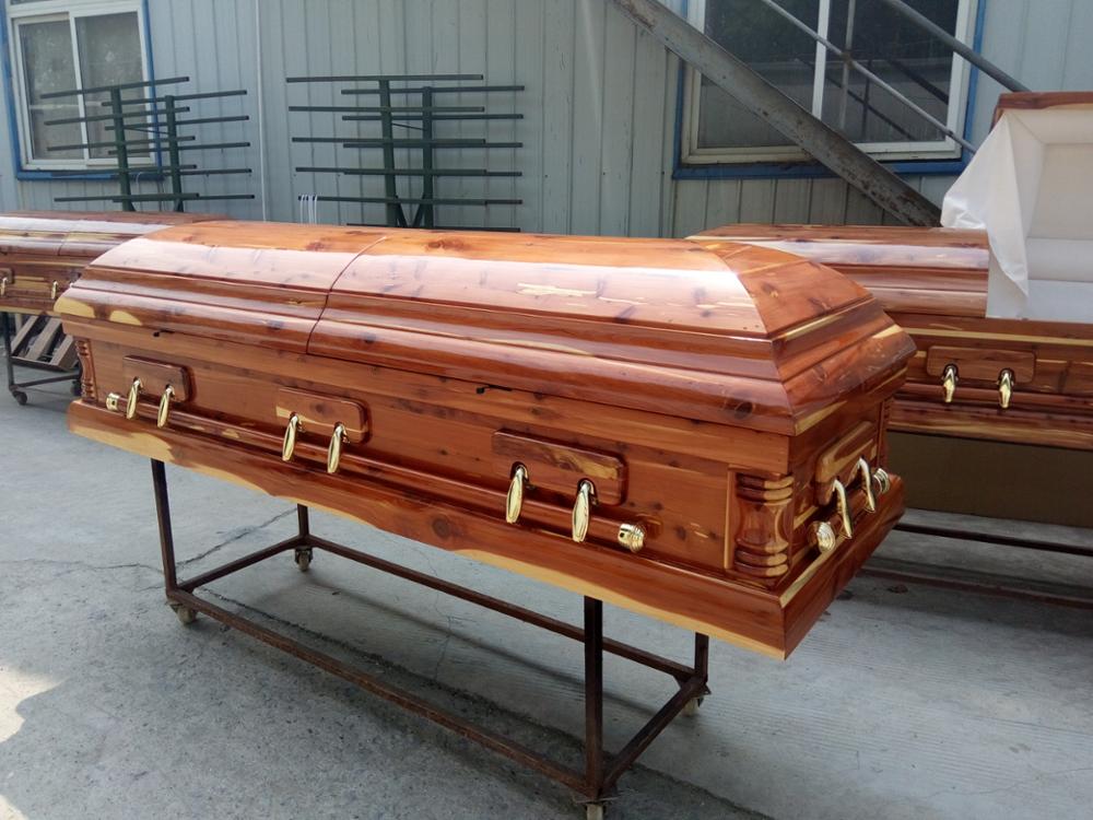 I morti nelle fioriere con l’ok dell’Asp”, l’orrore ad Aci Catena