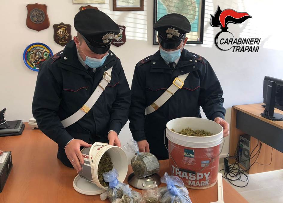 Pantelleria, coltiva oltre un chilo di droga in casa, arrestato Pantelleria, coltiva oltre un chilo di droga in casa, arrestato