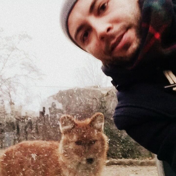 Enna, chiesta condanna a 3 anni per Ivan Bonomo, ex assessore