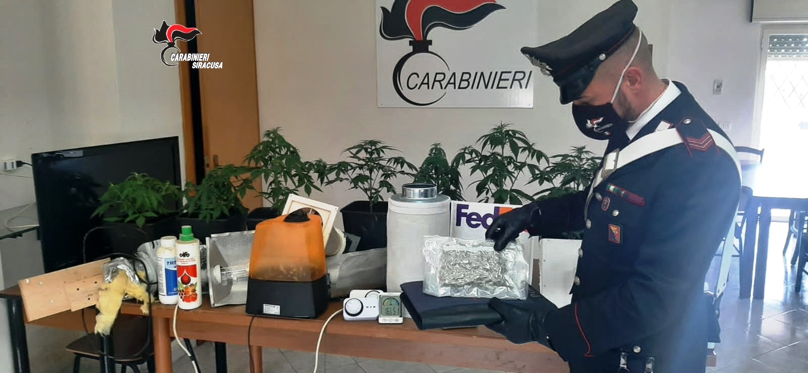 Galleria foto 'Acquista droga online e la coltiva indoor, arrestato a Pachino' - foto 1