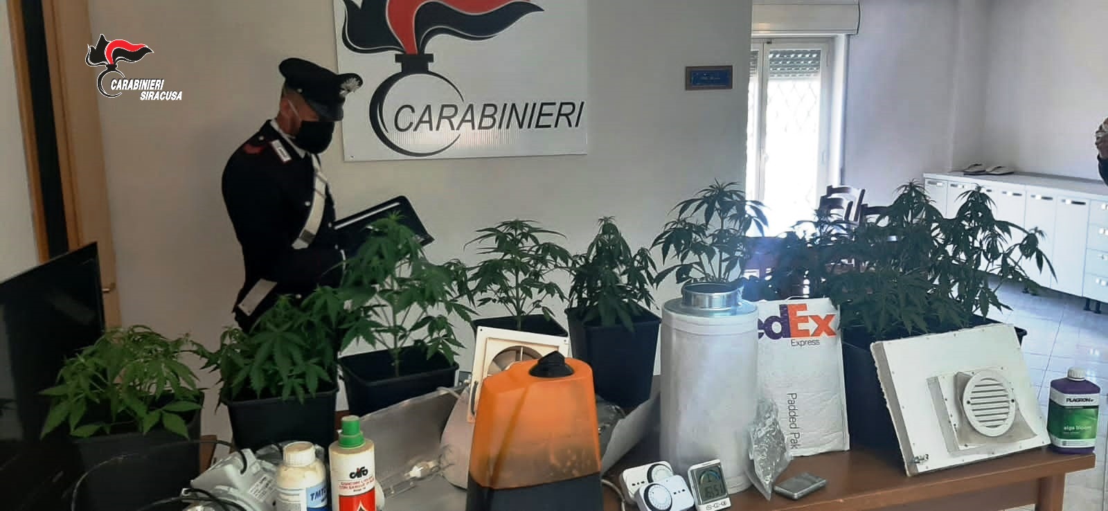 Acquista droga online e la coltiva indoor, arrestato a Pachino