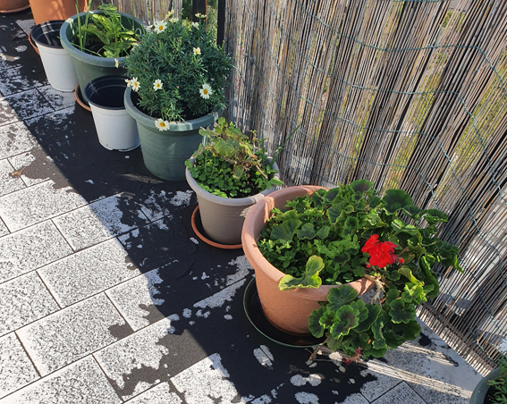 Etna, cenere vulcanica da rifiuto a risorsa per ambiente ed edilizia Etna, cenere vulcanica da rifiuto a risorsa per ambiente ed edilizia