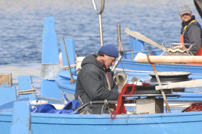 Trapani, sequestrati 7.500 ricci di mare, denunciati 4 pescatori di frodo