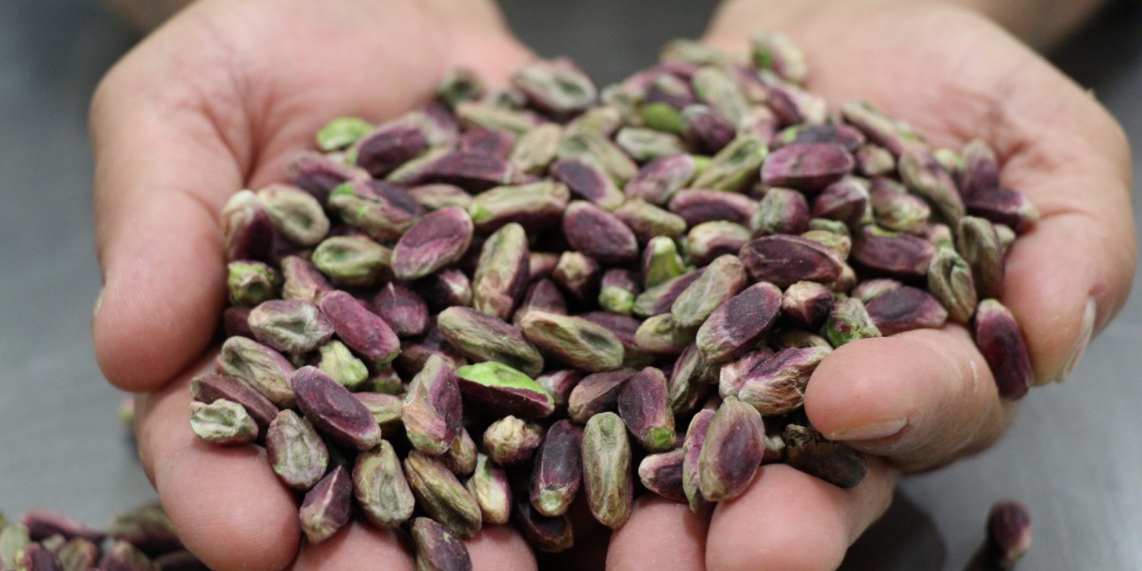 Pistacchio di Raffadali iscritto nel registro europeo Dop e Igp