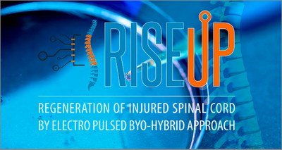 Progetto Enea per trapianto staminali per lesioni midollo spinale