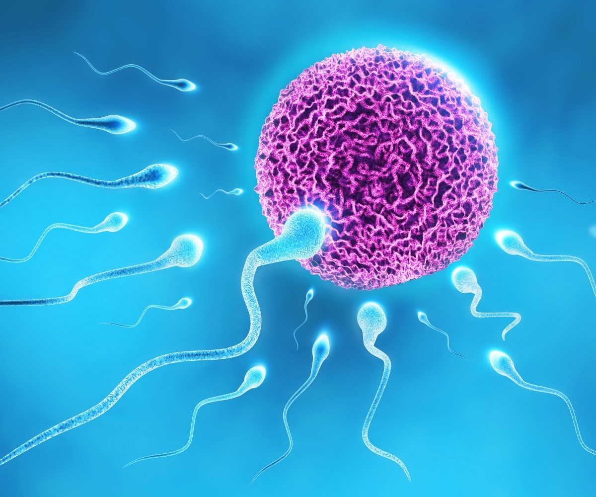 Medicina, numero spermatozoi in calo nella Sicilia orientale
