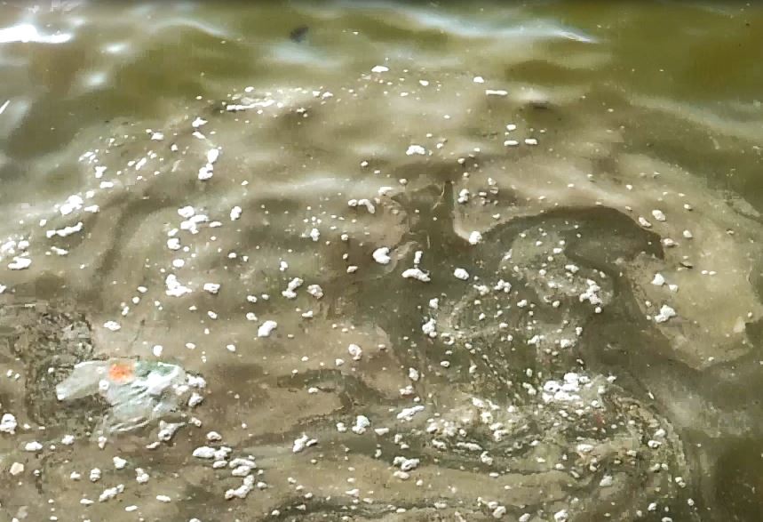 Catania, le acque industriali finiscono nel mare della Plaia