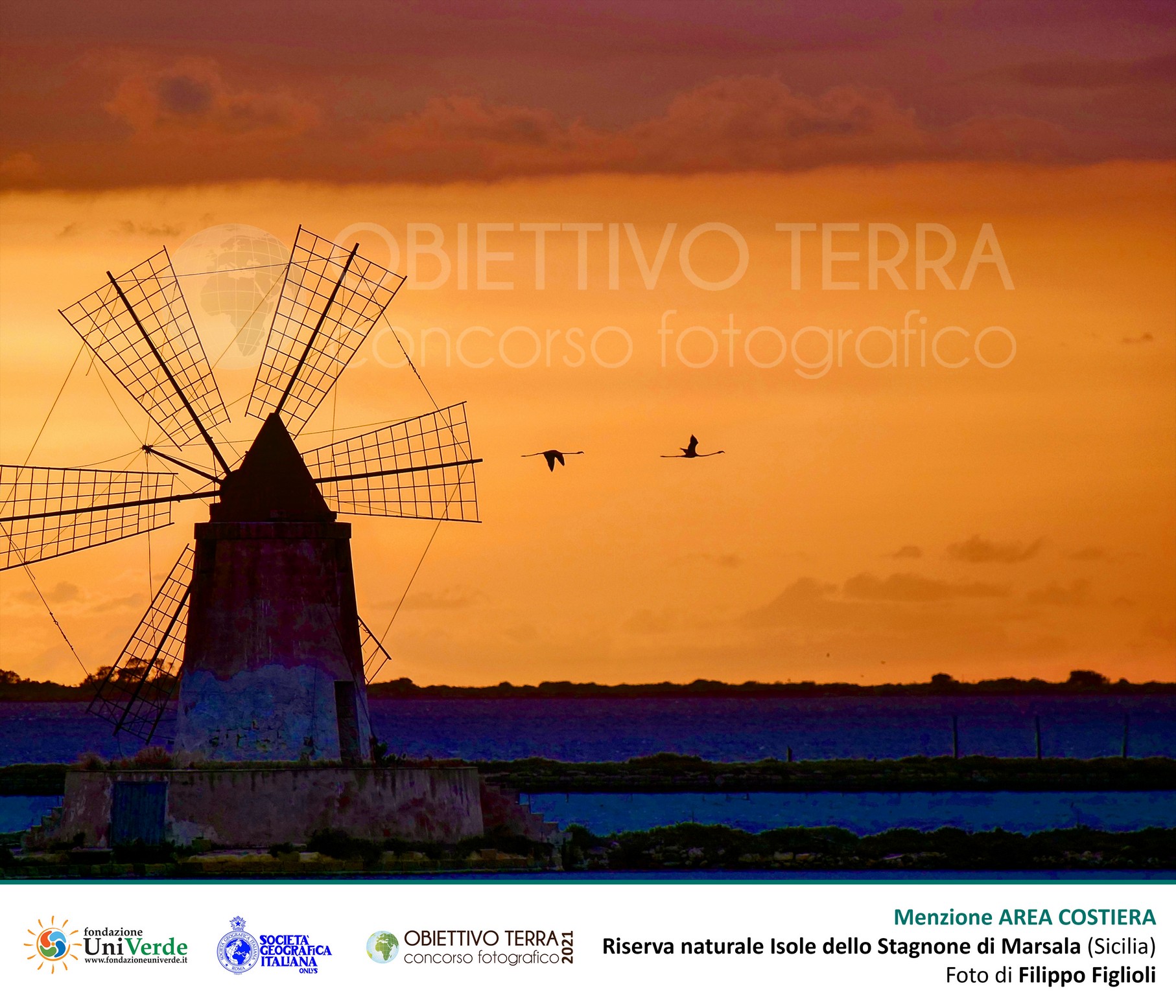 Galleria foto 'I vincitori della 12a edizione di “Obiettivo Terra” 2021' - foto 5