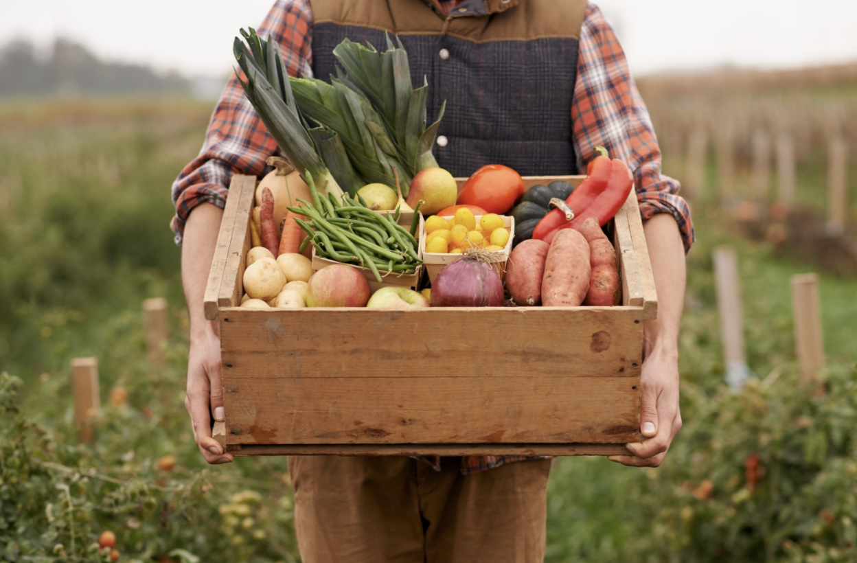 QdS racconta la Bellezza. Dal Km zero all’orto in casa: italiani sempre più eco-friendl