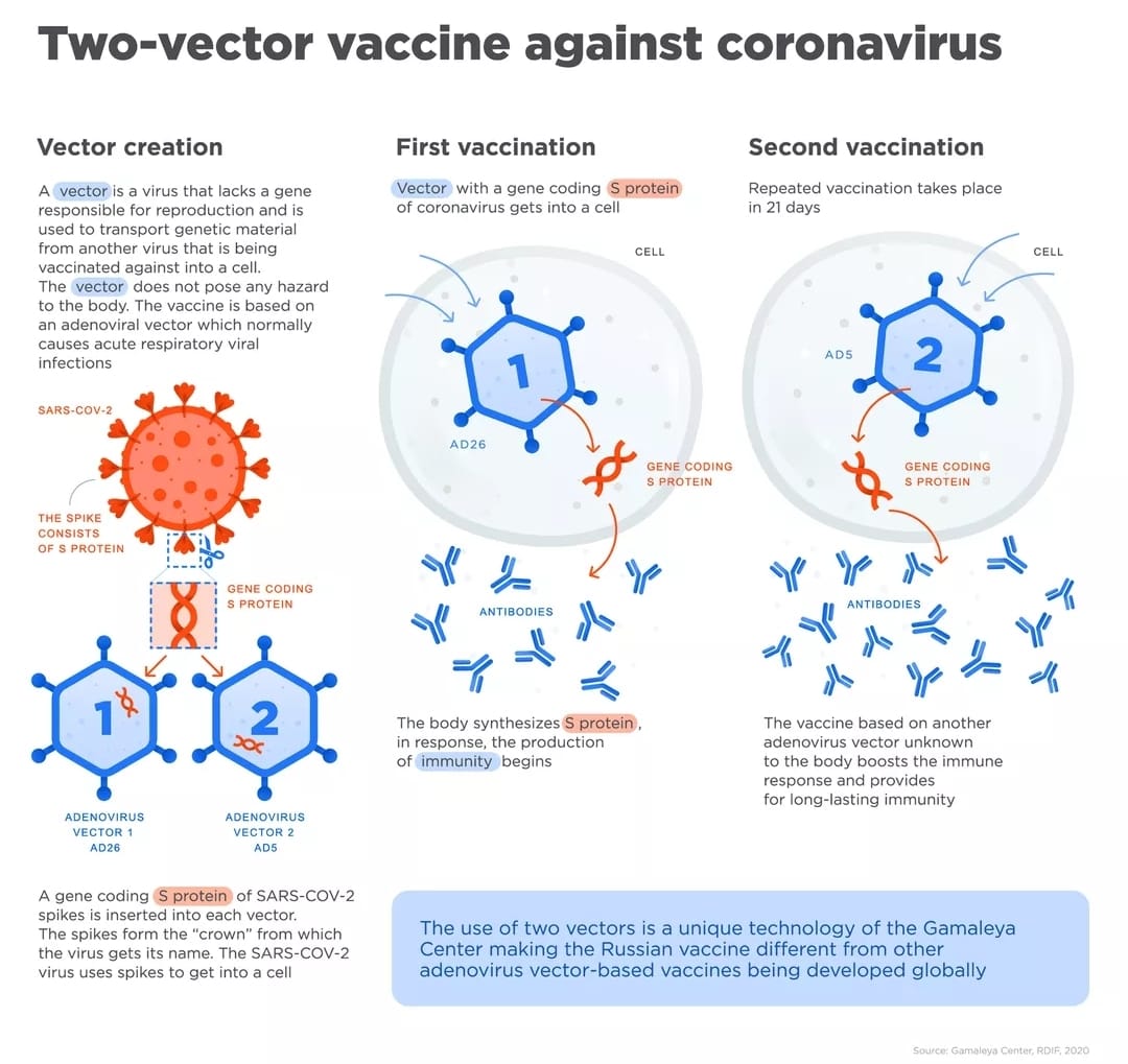 Galleria foto 'Sputnik V bloccato in Brasile, rischi e pericoli del vaccino' - foto 1